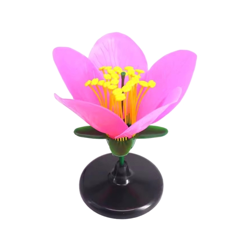 K9FC Realistic Plant Teaching  - Science Exhibition Models recensie en prijs