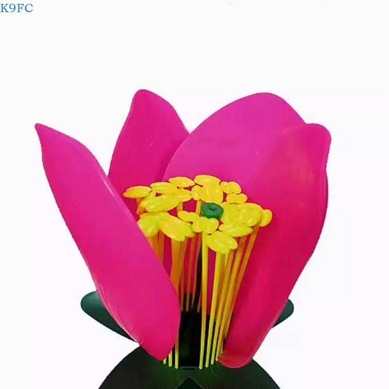 K9FC Realistic Plant Teaching  - Science Exhibition Models recensie en prijs