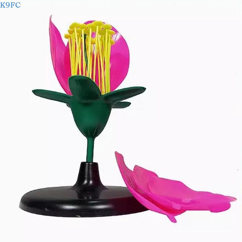 K9FC Realistic Plant Teaching  - Science Exhibition Models recensie en prijs