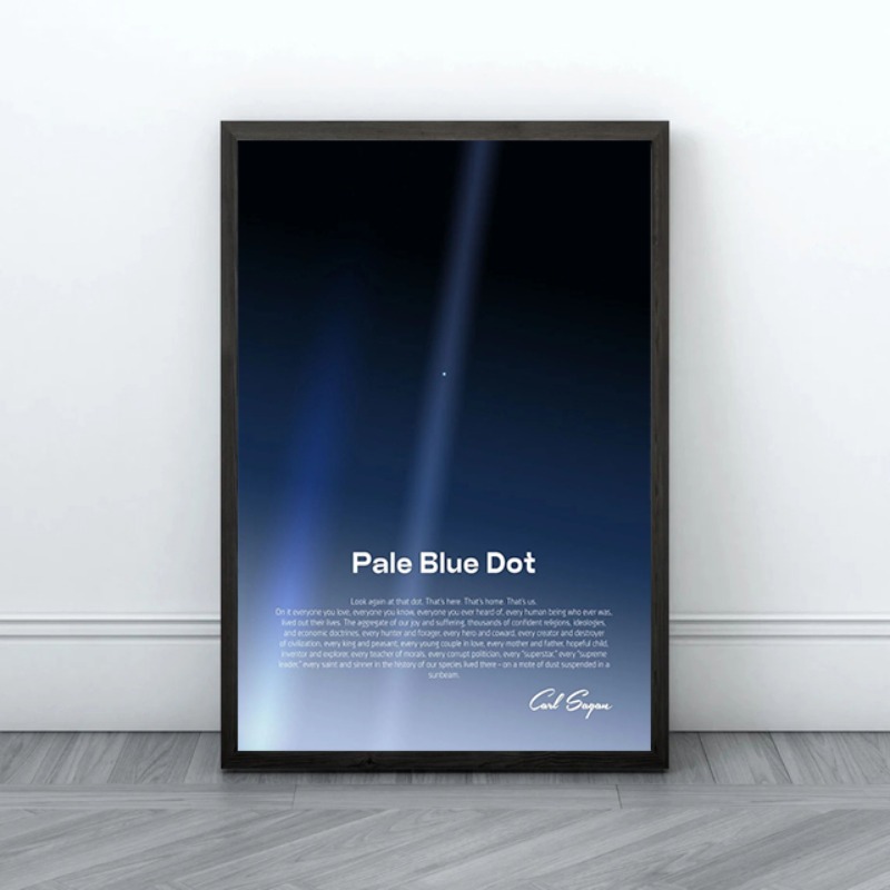 Pale Blue Dot Print Poster Voy - Star Map Poster recensie en prijs