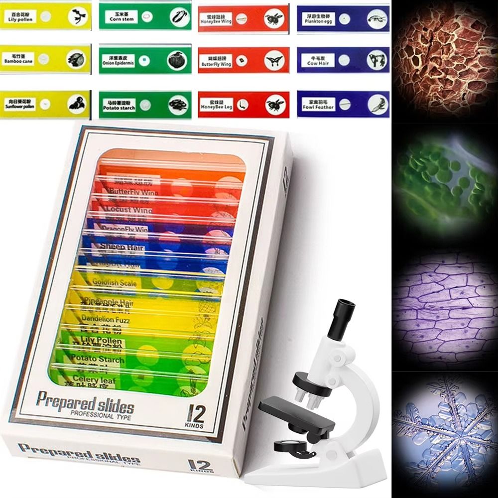 1Pcs 60-120X Pocket Microscope - Science Max recensie en prijs