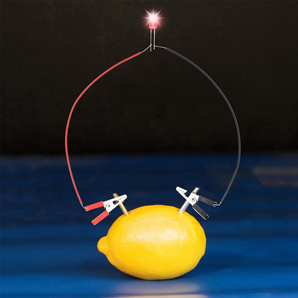 1Set Fruit Battery Science Exp - Science Project Physics recensie en prijs