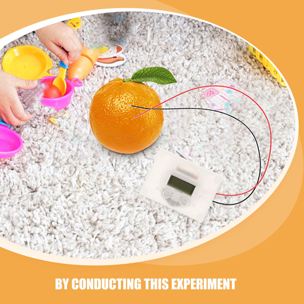 1Set Fruit Battery Science Exp - Science Project Physics recensie en prijs