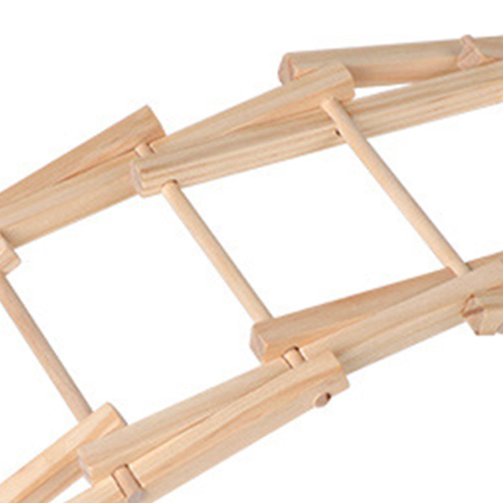 Wood Science Model Bridge (ass - Science Project Physics recensie en prijs