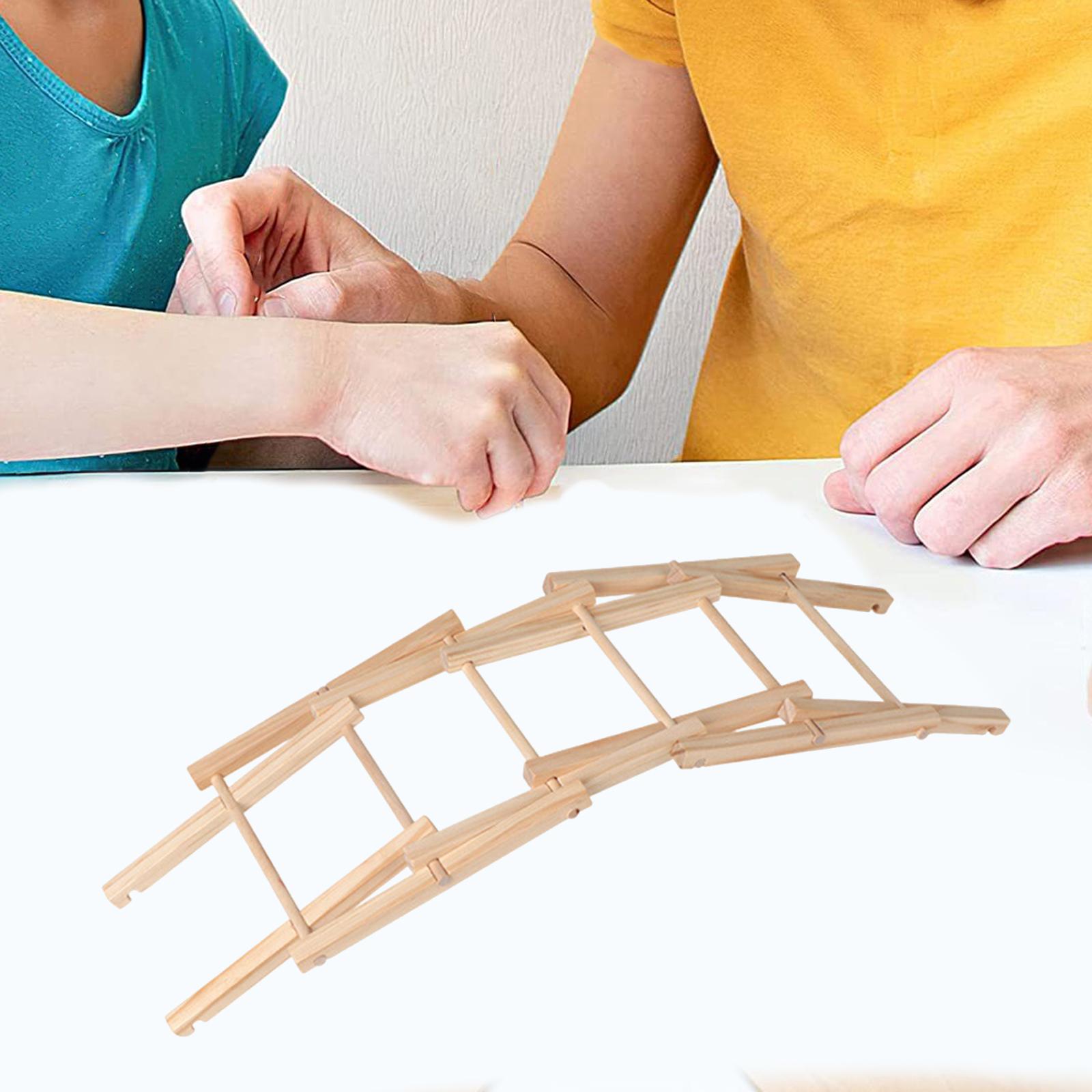 Wood Science Model Bridge (ass - Science Project Physics recensie en prijs