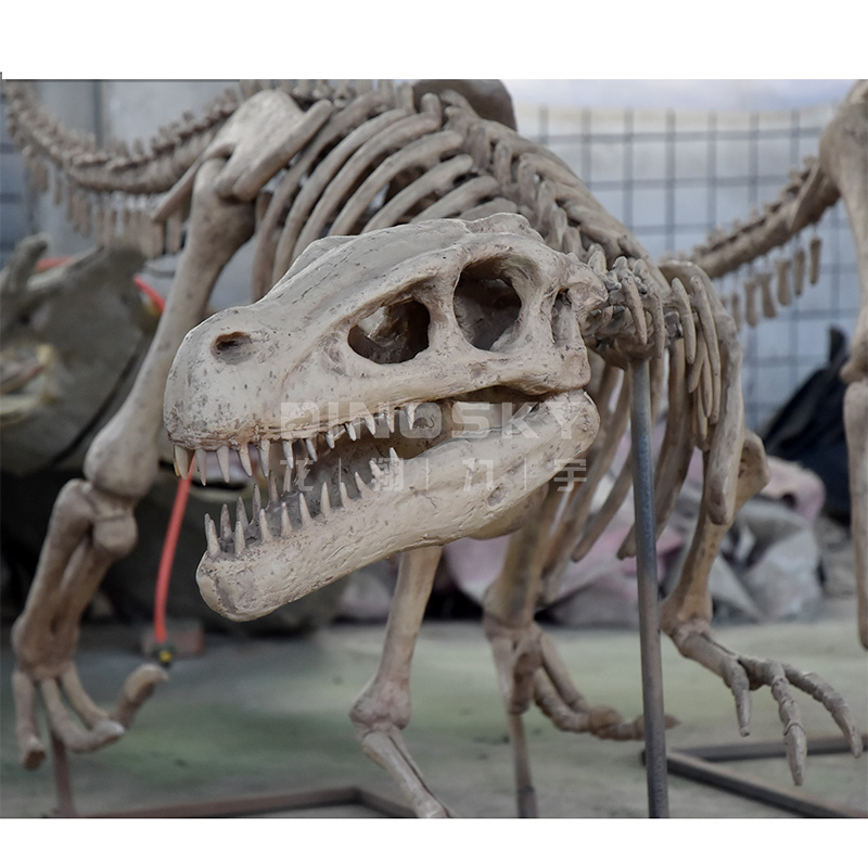 ATV&UTVResin Raptor Skeleton F - Science Exhibition Models recensie en prijs