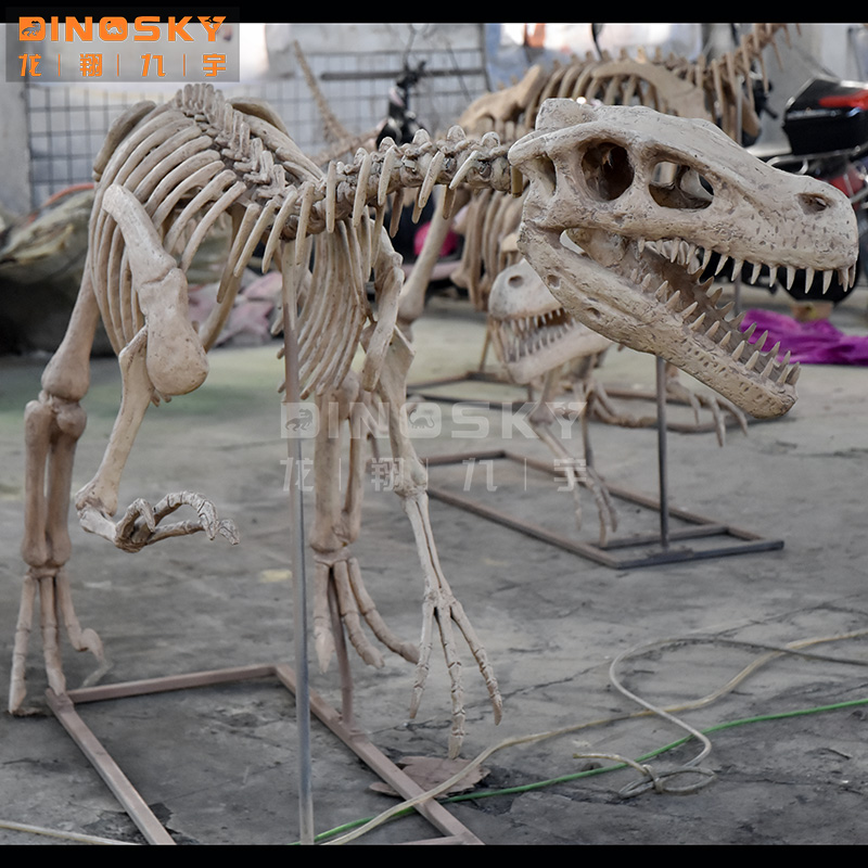 ATV&UTVResin Raptor Skeleton F - Science Exhibition Models recensie en prijs
