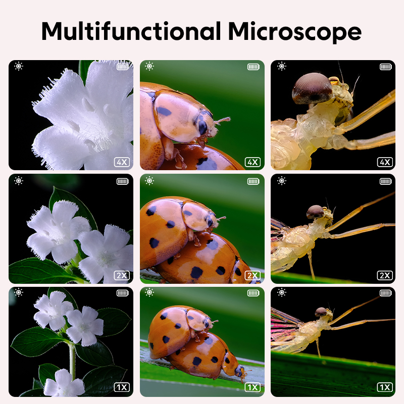 Mini Kids Optical Microscope W - Science Max recensie en prijs